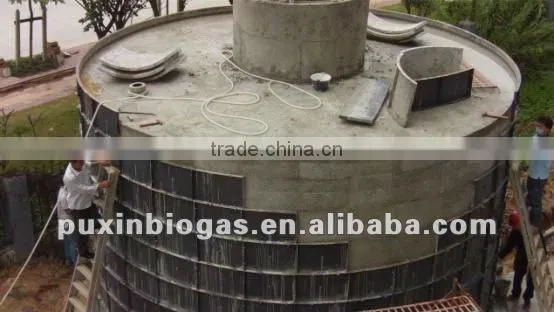 Low cost and big size PUXIN biogas plant for electricity generation
