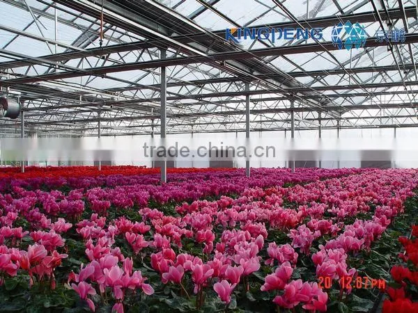 Flower Growing Greenhouse