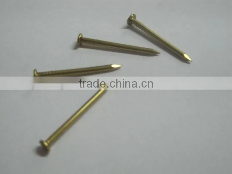High Quality Copper Nails with Factory Price