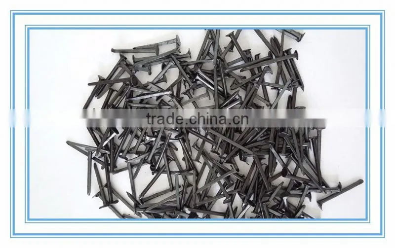 cheaper price shoe nail,factory product