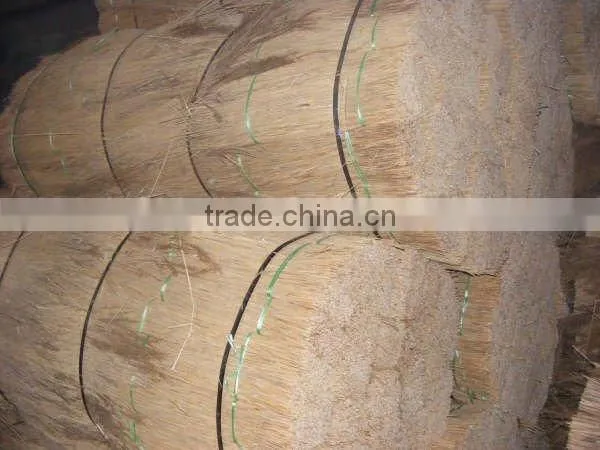 thatching reed bundles