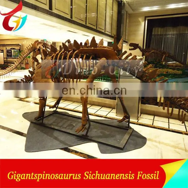 indoor display fiberglass life size dinosaur skeleton
