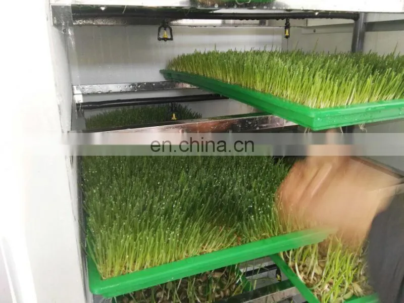 Commercial rabbits fodder making machine / hydroponic culturing barley breeding machine for sale