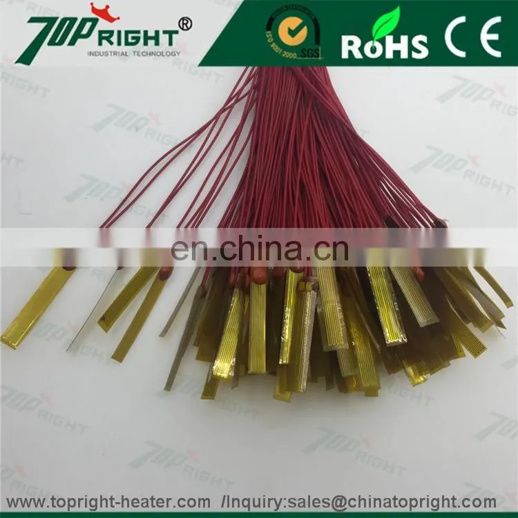 5V battery powered heating element,Customize 3.7v 5v 7.4v 9v 12v 24v 36v 48v 60v polyimide film heater