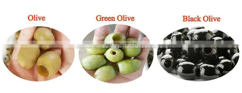 Date pitting machinery for olive fruit mini olive pit pitting and stuffing machine 2 years warranty