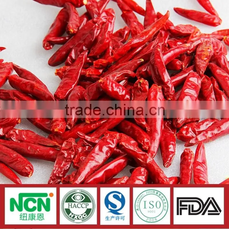 New Crop of Tianying Red Chilli