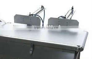 High Speed Check Weigher WS-N158 (2-600g)
