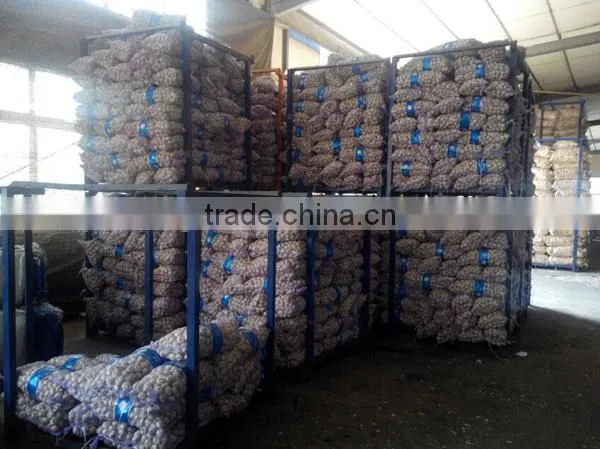 Red garlic with lowest price 2016