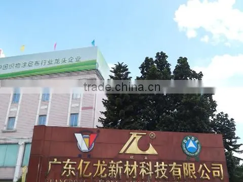 Guangdong Yilong Advanced Material Technology Co., Ltd. company overview - view 1