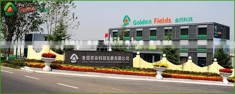 Market Price for Mushroom,Shiitake Mushroom Price,Mushroom For Sale