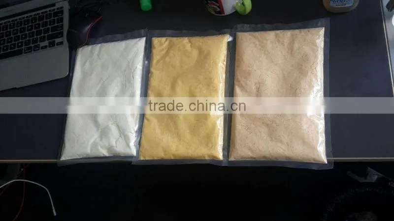 Hydrolyzed Protein spray dryer