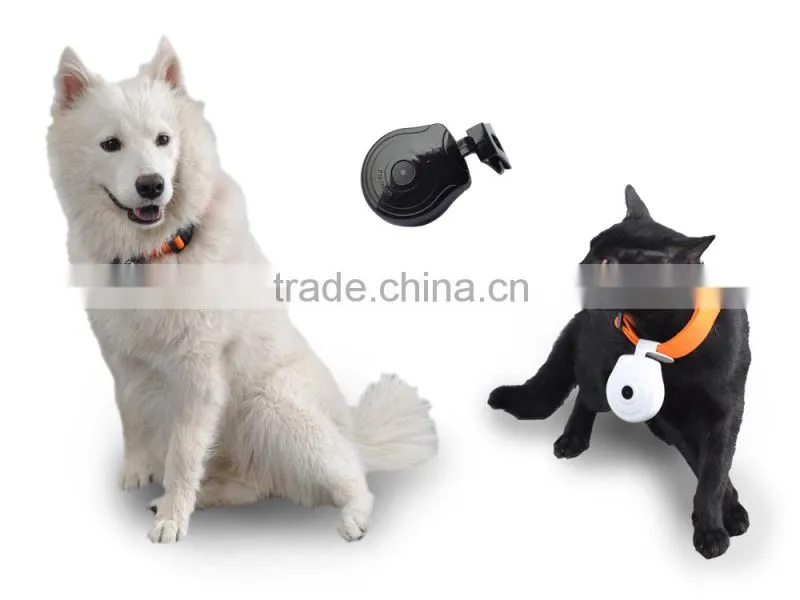 hot selling pet collar camera Lovely pet camcorder
