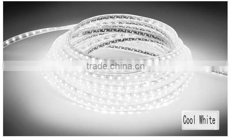 12v chrismas decoration led light 3528 60leds/m