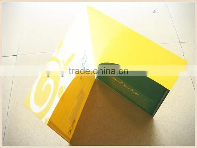 2014 Shenzhen Supplies Hight Quality Plastic Expandable File Folders