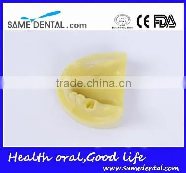 Dental Implant Practice Model (no gum) Education School Teaching Models