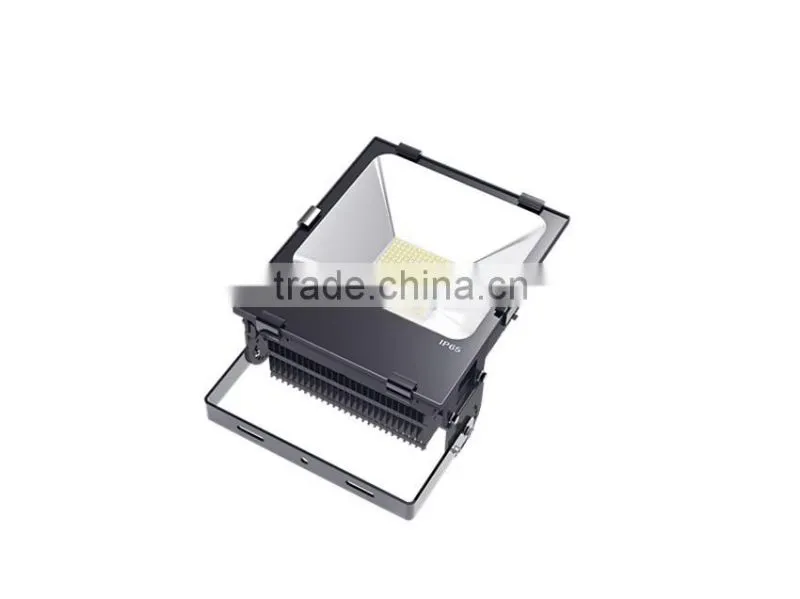 IP67 Waterproof bridgelux cob 100w high power led flood light