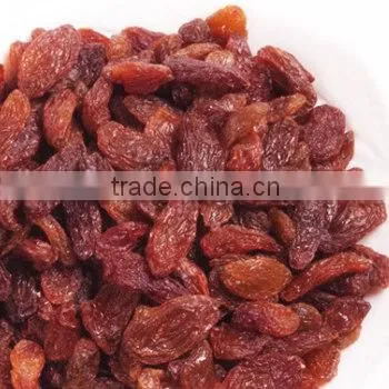 china wholesale seedless dried raisin