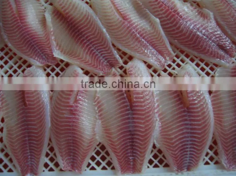Whole Sale High Qulity Frozen Tilapia Fish Fillet