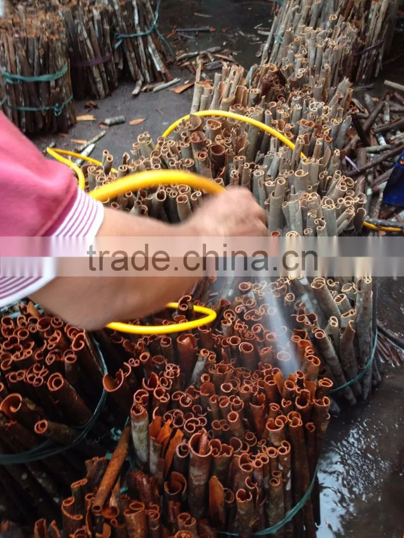 ROUND CUT CINNAMON/ CASSIA