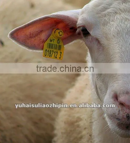PU Animal recognition ear tag for sheep