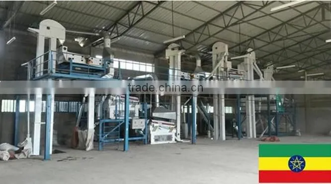 Sunflower Seed Cleaning Plant/ Peanut Processing Line (EU Standard)