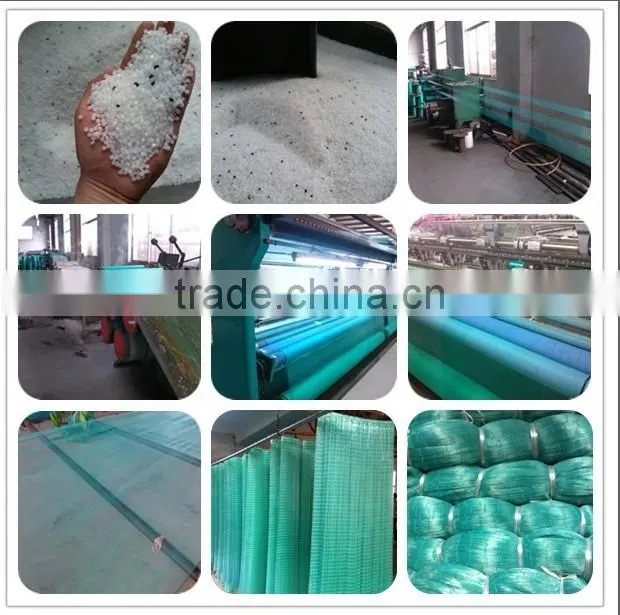 High tenacity fish net for Chile and Peru