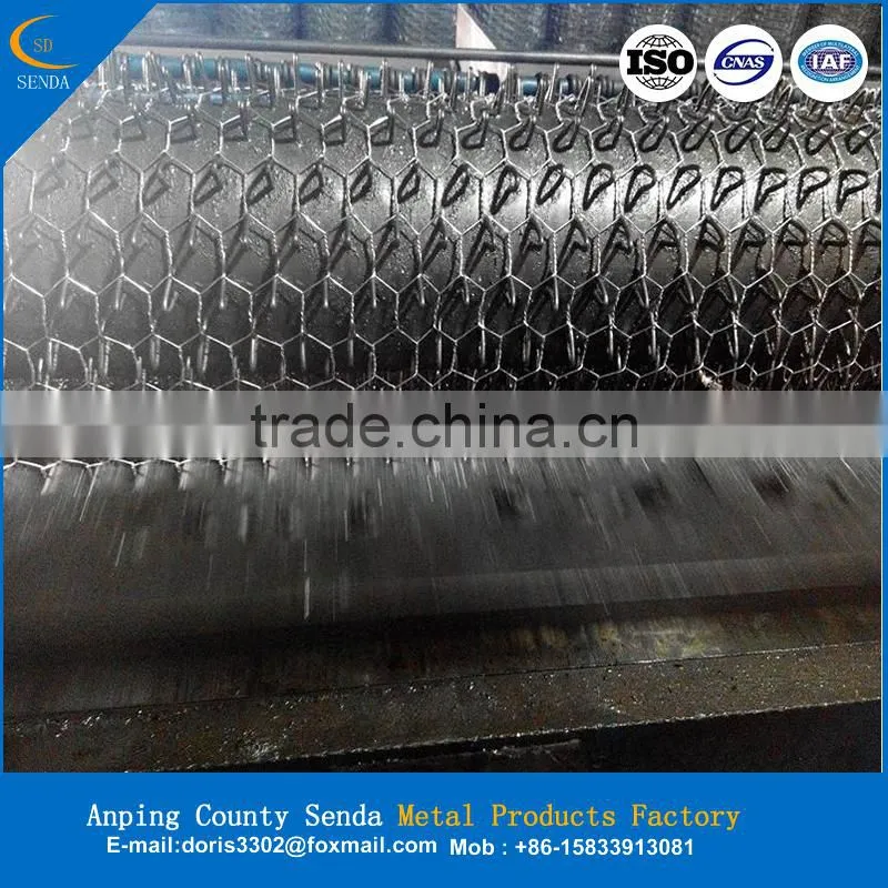 hexagonal fence netting (ISO9001:2008 and factory and exporter )