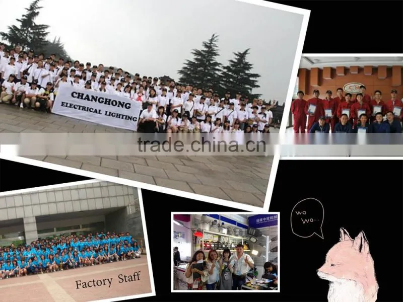 outdoor COB 50W/100W/150W 200w led street light
