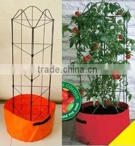 Garden growing spiral stake