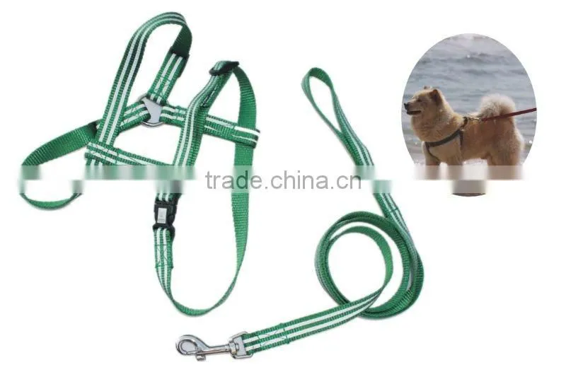dog collar pet products