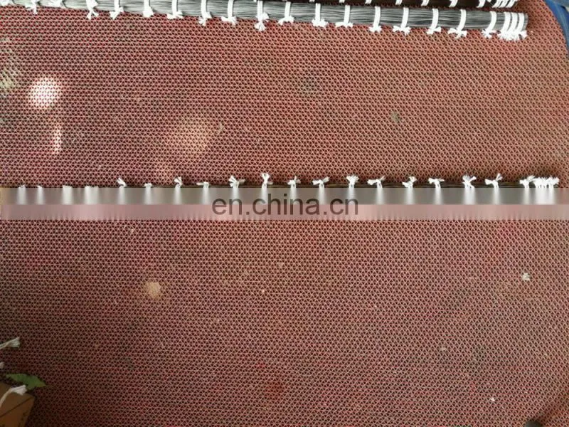 36inch horse tail hair / Longest horse hairs