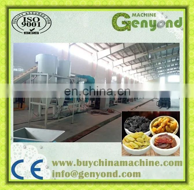 plant for raisin /dried grapes processing machine