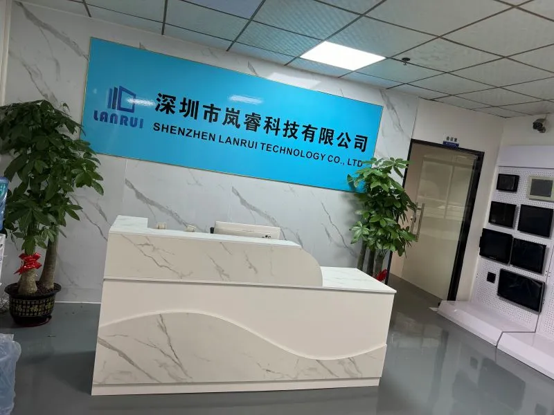 Shenzhen Lanrui Technology Co., Ltd company overview - view 1