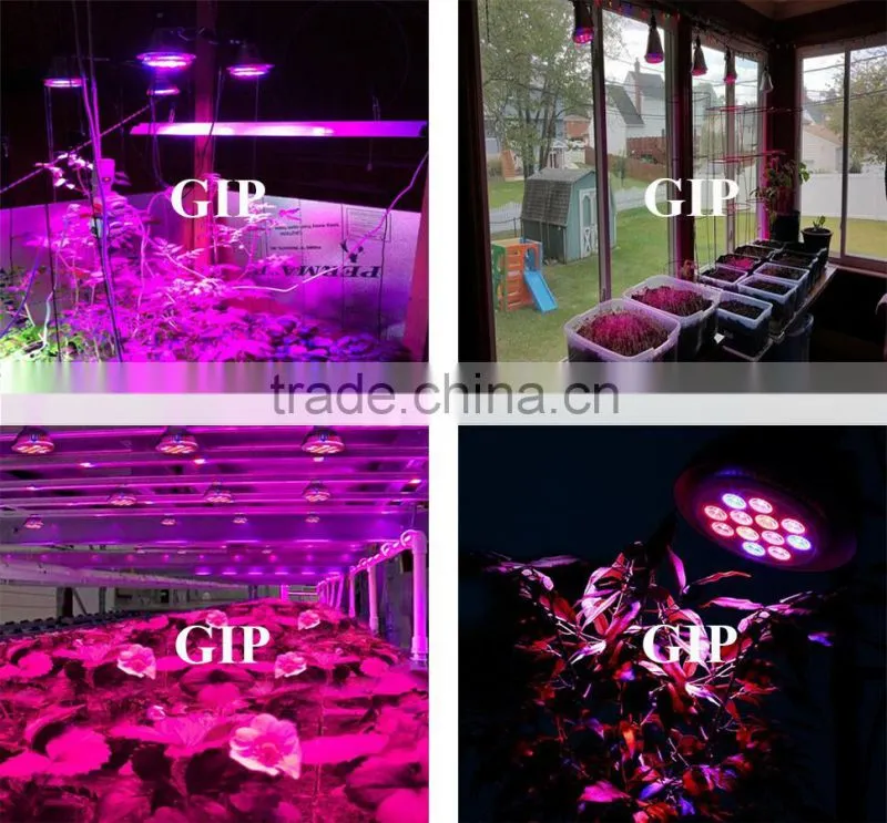 Greenhouse red blue e27 24w 12w led grow light 24w 12w e27 led grow lights for indoor plants
