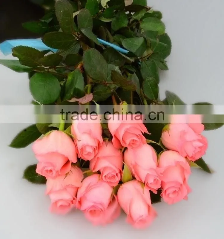 Colorful Diana fresh roses decoration