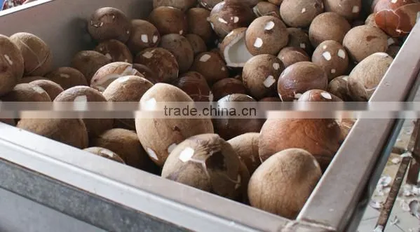 Hot selling extra virgin coconut oil(VCO)for cooking,skin care