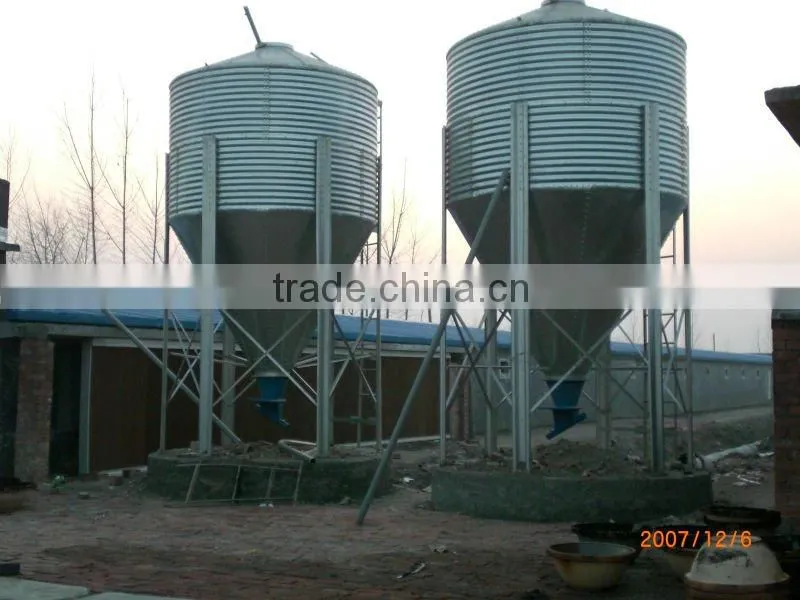 2013 new hot China poultry feeders and drinkers