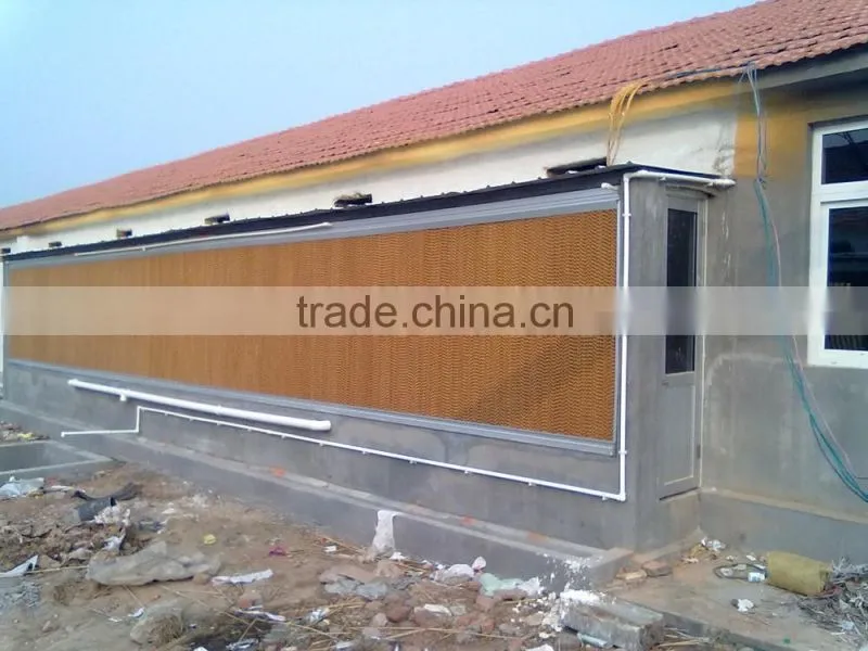 jinan birdsitter ISO9001 qualified evaporative cooling pad for poultry house