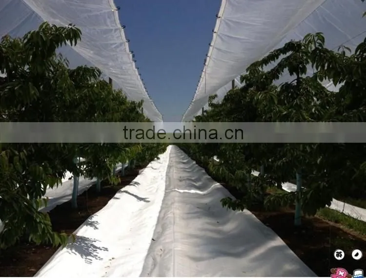 100% virgin HDPE woven greenhouse film /fruit tree cover /200 micron greenhouse film with more than 5 used years