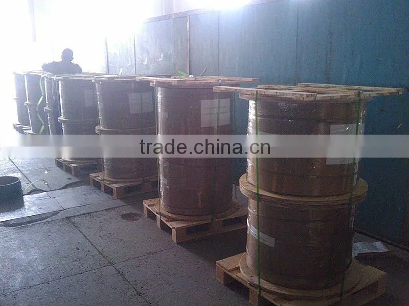 120 ohm PCM Cable (Overall Shield)
