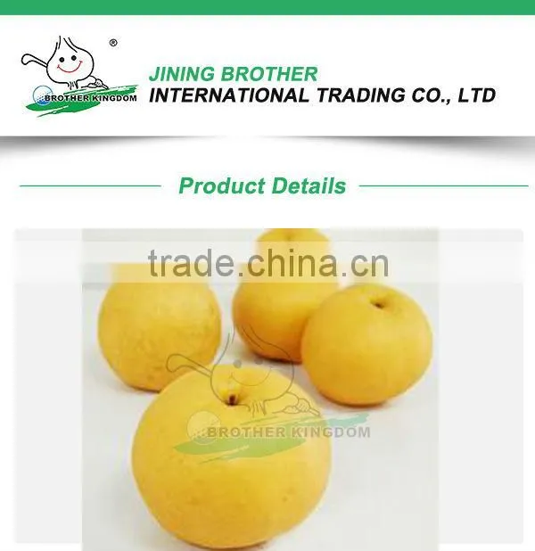 Export New Fresh fengshui Pear /China Delicious Nashi Pear