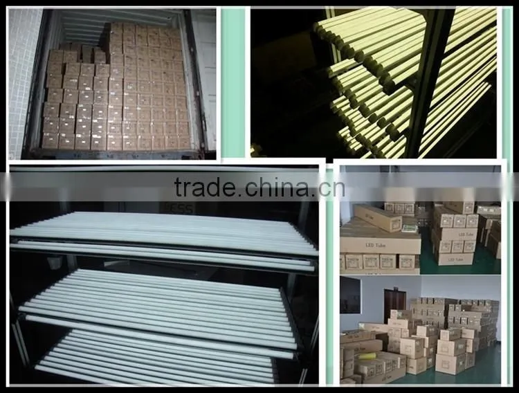 Super quality hot selling 5ft ul led tube light
