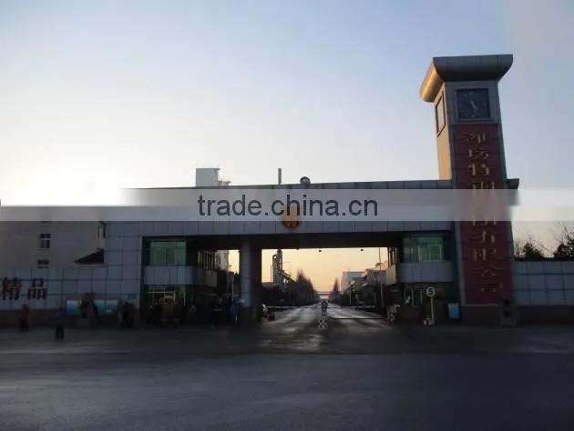 Weifang Special Steel Group Co., Ltd. company overview - view 2