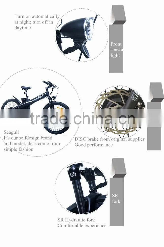 Seagull,kids balance motor battery range extender electric bicycle
