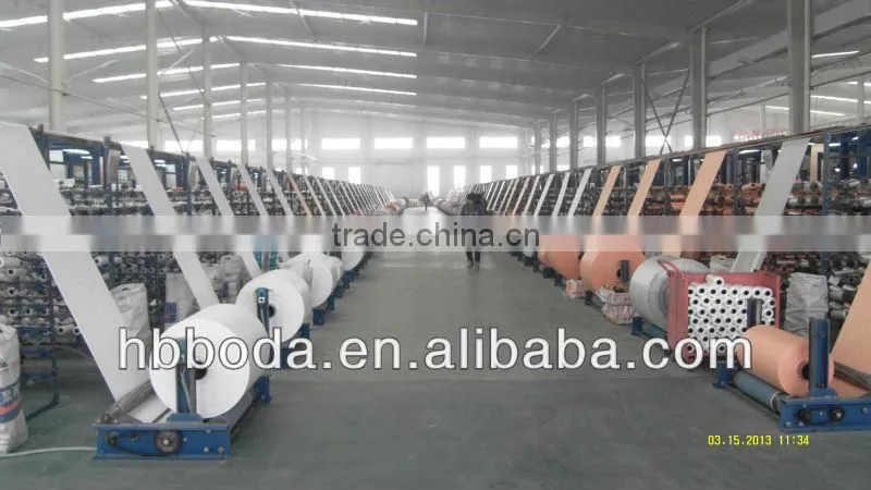 new design pp woven packing bag