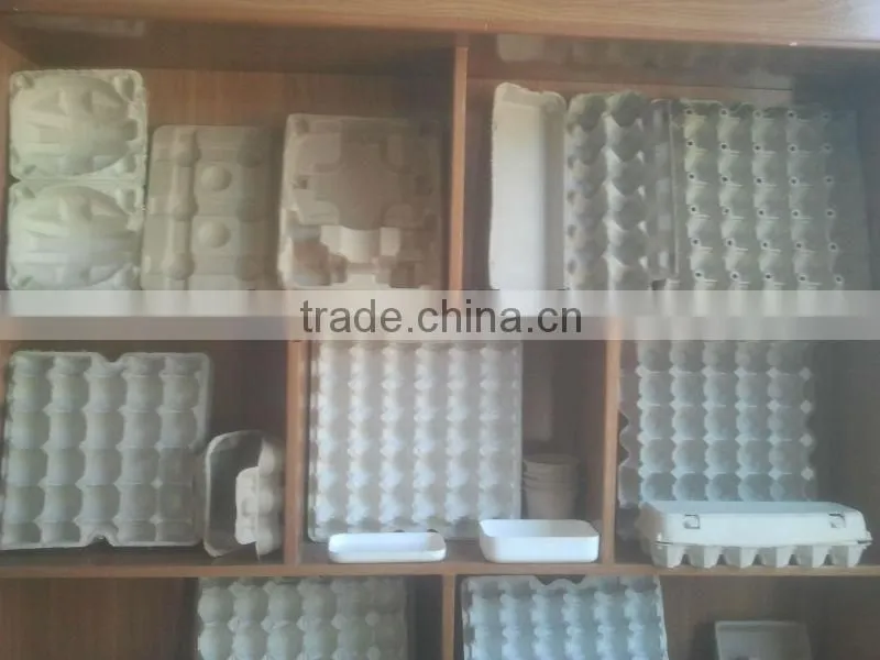 egg tray/egg tray machine for sale
