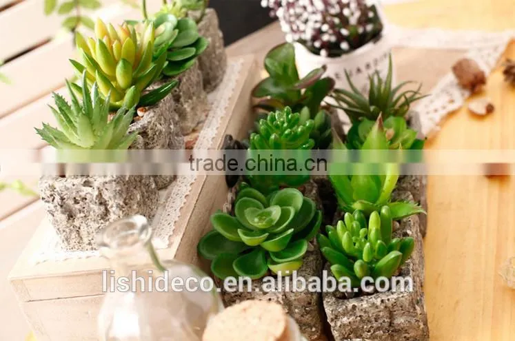 2016 Latest Design Artificial Succulent Pot Succulent Plants For Sale