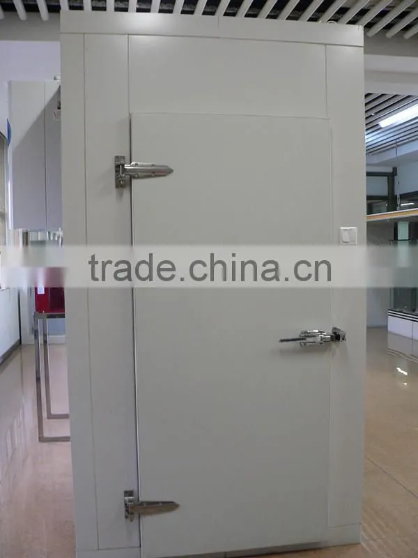 Polyurethane hinged cold room door cold storage door swing door