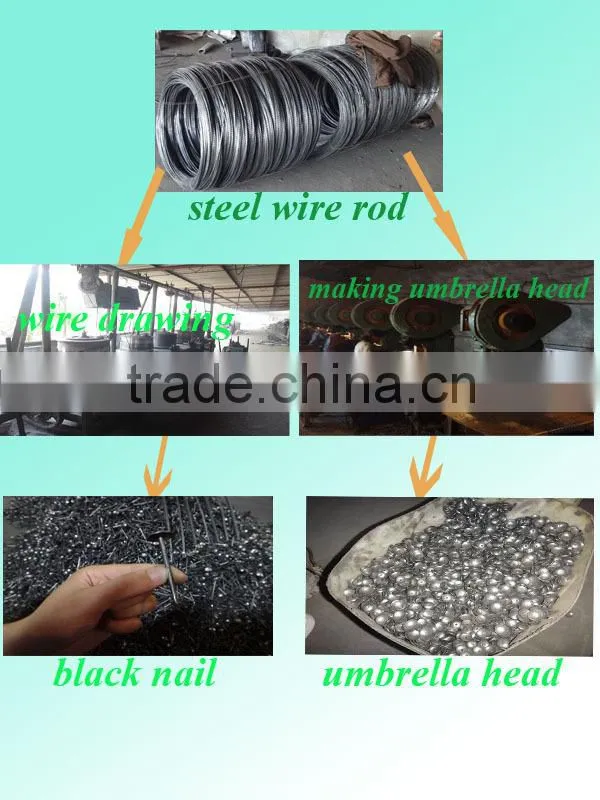 flat roofing nail type