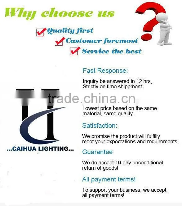 24w cob e27 par38 led par light, high power led spotlight